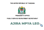 NEEC Executive Secretary Vacancy 2026