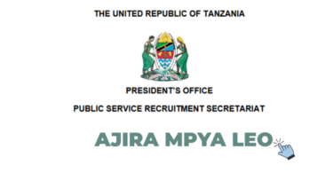 NEEC Executive Secretary Vacancy 2026