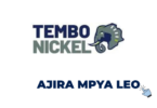 Resettlement Senior Officers (3) at Tembo Nickel – October 2026