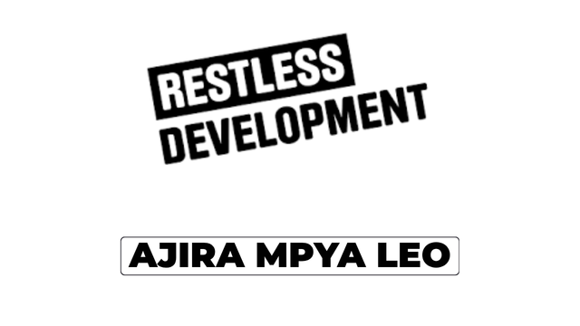 SRHR Policy Analysis, Advocacy and Dialogue Consultant at Restless Development