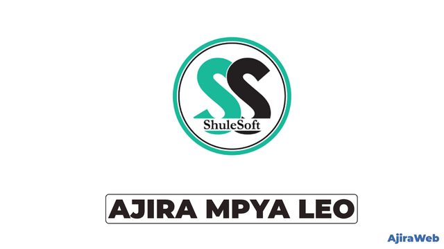 ShuleSoft Vacancies 2026 – 4 Job Opportunities in Dar es Salaam