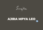 Singita Jobs in Tanzania 2026 – 3 Vacancies