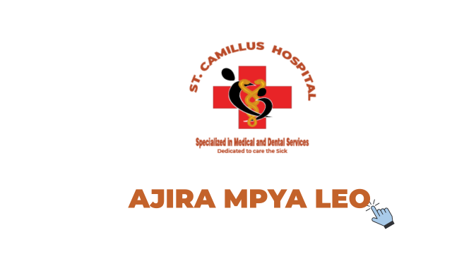 St. Camillus Hospital Vacancies 2026 – 4 Posts