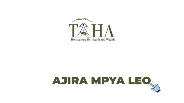 TAHA ICT Internship 2026