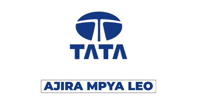 Technician (Agriculture or Construction Equipment) Vacancy at TATA Africa Holdings Tanzania Ltd