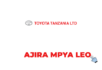 Toyota Tanzania Ltd Head of Finance – Mobility Vacancy 2026