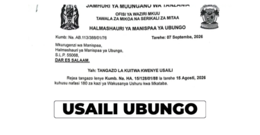 Ubungo Municipal Council Revenue Collector Interview: 180 Contract Posts