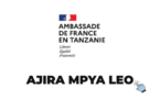 French Embassy in Tanzania Jobs 2026 Vacancy in Dar es Salaam