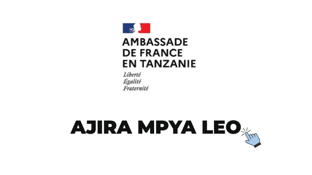 French Embassy in Tanzania Jobs 2026 Vacancy in Dar es Salaam