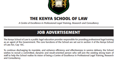 Kenya School of Law Jobs 2026 – Director/Chief Executive Officer Vacancy
