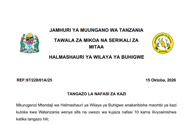 Buhigwe District Council Jobs 2026: 10 Vacancies