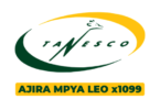 TANESCO 1099 Vacancies October 2026