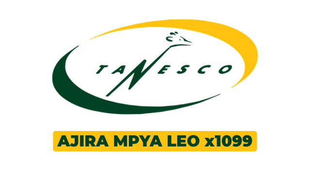 TANESCO 1099 Vacancies October 2026